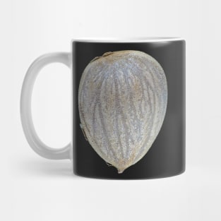 Macro photo of an apricot seed kernel Mug